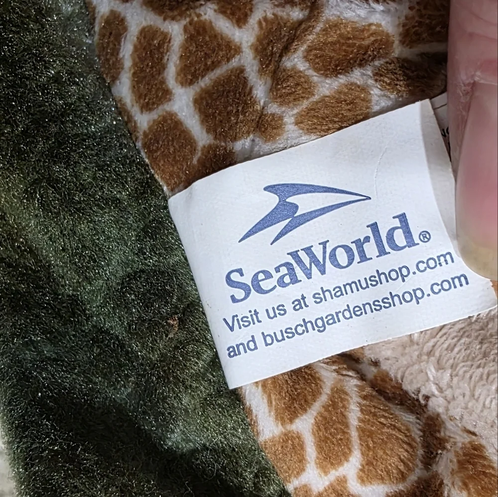 Sea World sea turtle